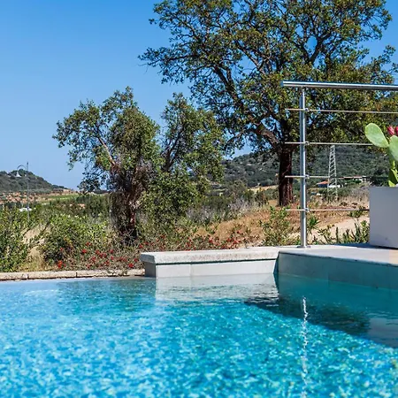 Is Laccus 6 Castiadas